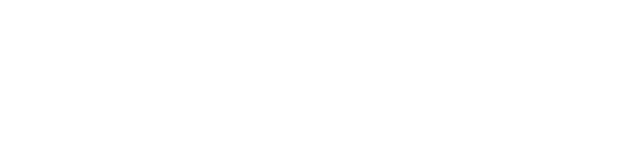 Viktonia Strategies LLC