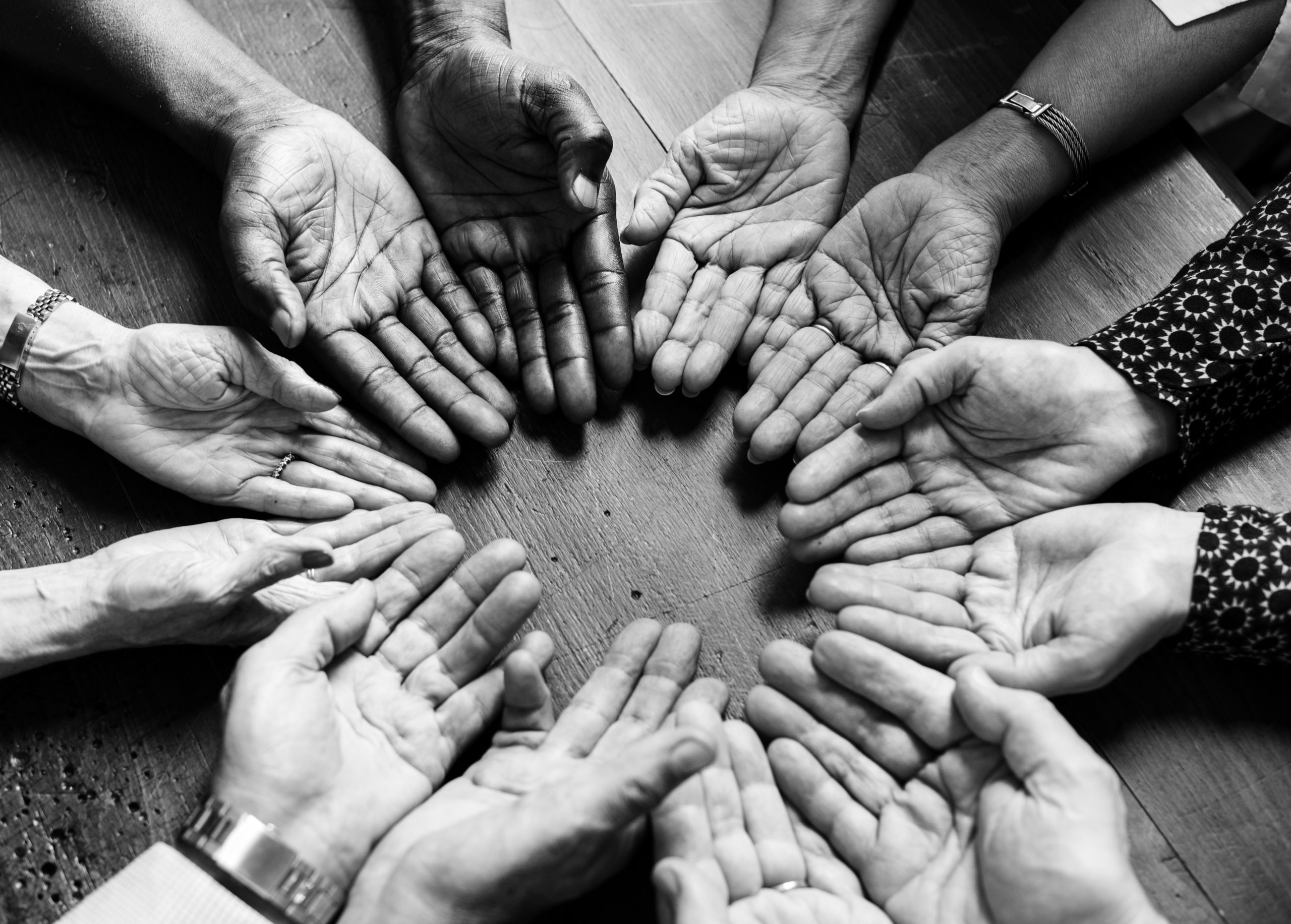 Nonprofits & NGOs